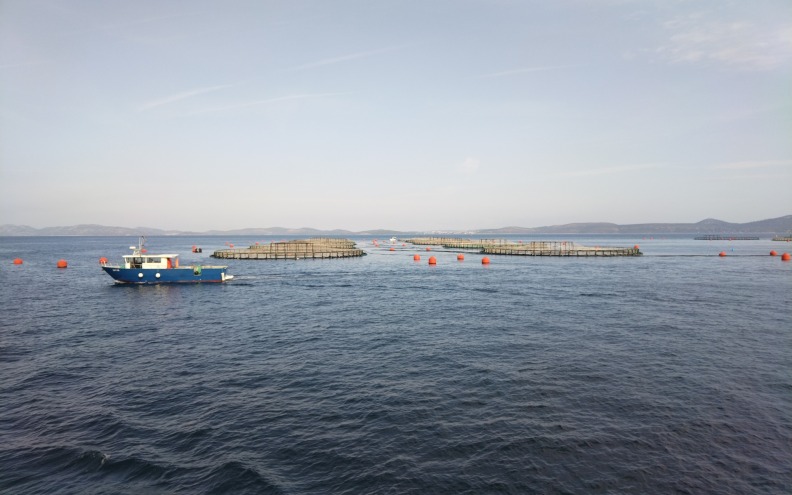 Cromaris i tijekom krize zadržala kontinuitet rasta