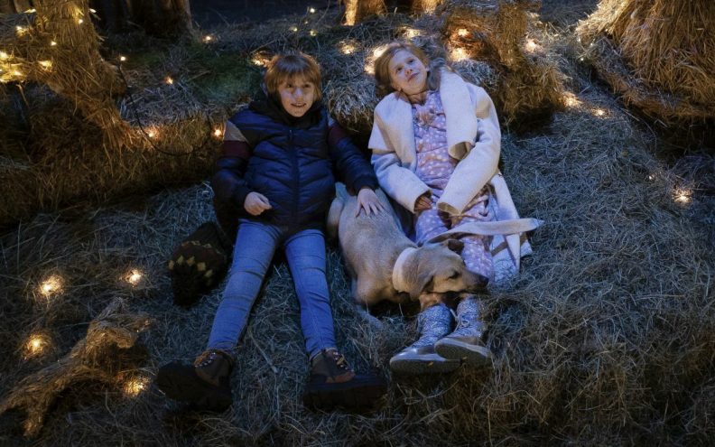 Ovoga tjedna u naša kina stiže božićni film za djecu: nosi veliku i vrijednu lekciju