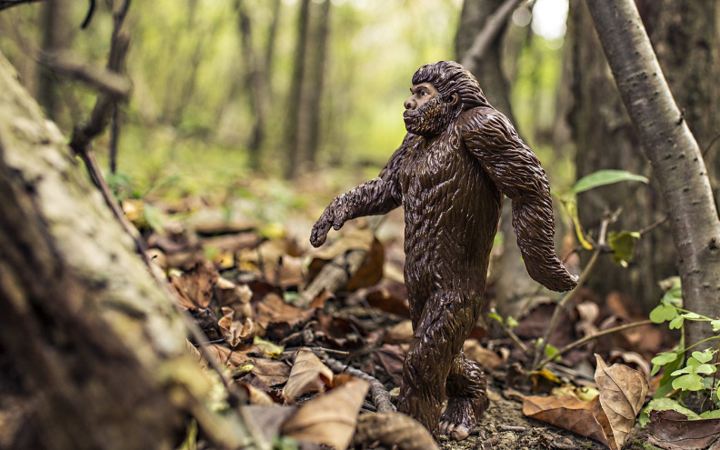 Neandertalci su prije 70.000 godina kuhali jela od sušenih mahunarki