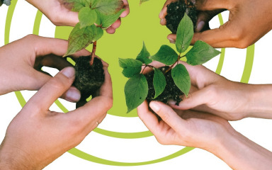 Urbanim zelenilom protiv nadolazećih negativnih posljedica klimatskih promjena