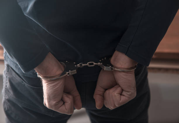 Na Balkanskoj ruti uhićena 382 krijumčara te velike količine ilegalnih sredstava