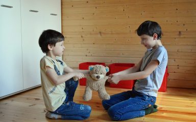 Rivalstvo braće i sestara veoma je čest problem. Ovako se možete nositi s njim