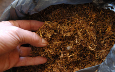 Kod mladića s benkovačkog područja pronađen 71 kilogram rezanog duhana