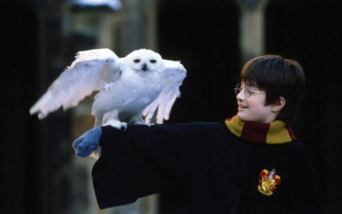 Prije dvadeset i pet godina objavljena je prva knjiga serijala autorice J. K. Rowling