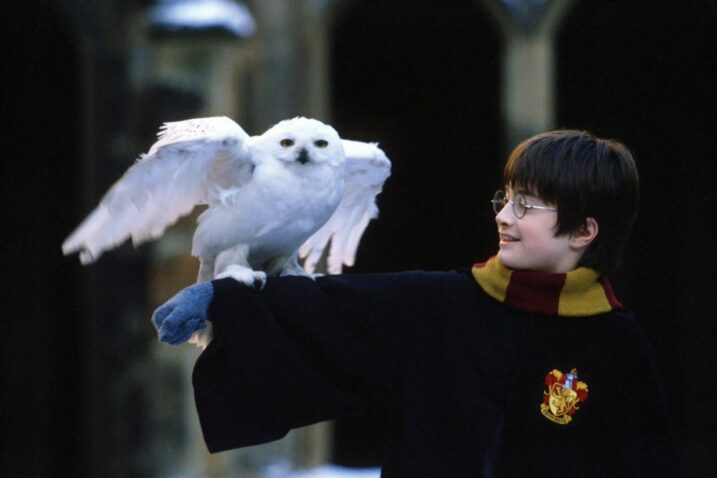 Prije dvadeset i pet godina objavljena je prva knjiga serijala autorice J. K. Rowling