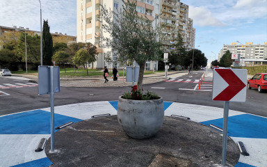 Rotor ukrašen pitarom s maslinom