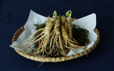 Ginseng: pripisuju mu se ljekovita, energetska i revitalizirajuća svojstva