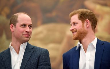 Harry u knjizi tvrdi da ga je William fizički napao
