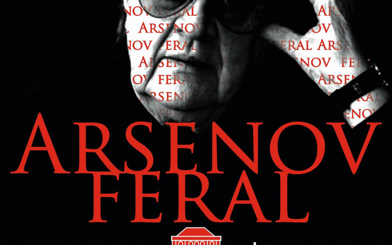 Arsenov feral u HNK Zadar