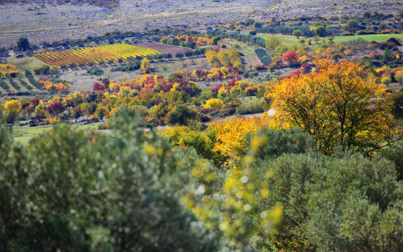 LJETNI ĐIR Ravni kotari mirna su oaza na korak od Zadra