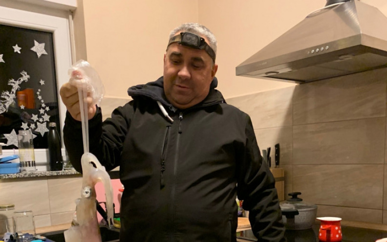 Borisov mali kraken