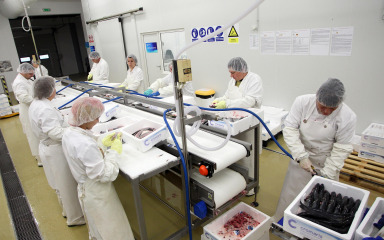 Zadarski poduzetnici očekuju da će im 2023. biti još bolja poslovna godina