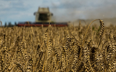 Rusija izašla iz sporazuma o žitu, EU to osudila kao ciničan potez
