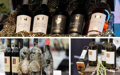 Zadarska regija sve popularnija među ljubiteljima dobrog vina