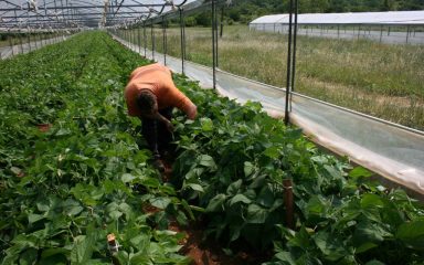 Tko može do kredita uz subvencioniranu kamatu? Županija objavila uvjete novog programa