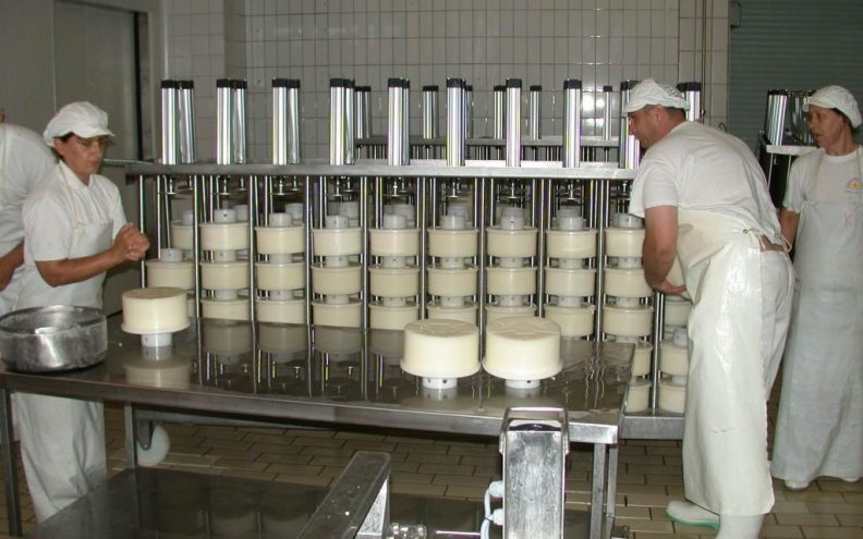 Paški sirevi s izlaznim brojem u trgovinama Europe i svijeta