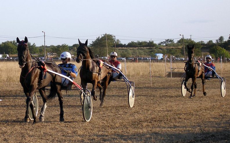 Konjičke utrke u Ravnim kotarima poprište narodnog veselja