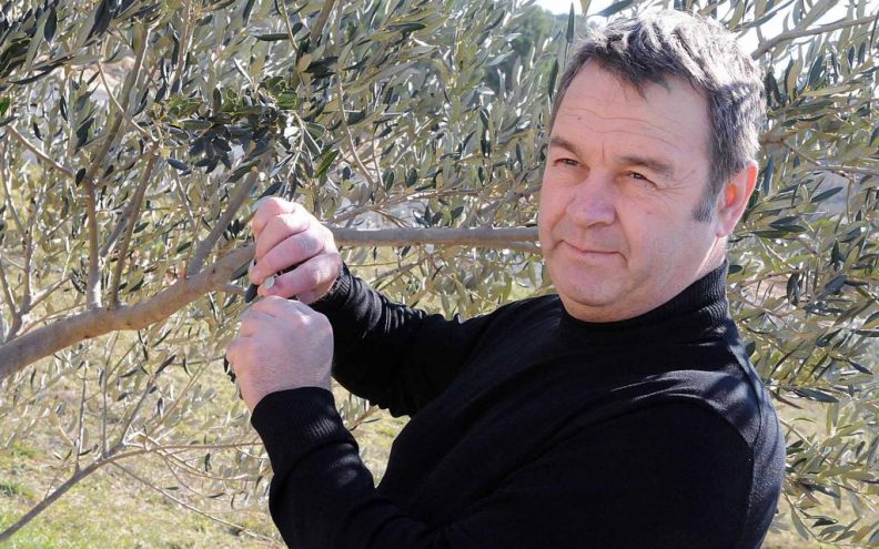 Ivici Vlatkoviću tri zlatne medalje za maslinovo ulje