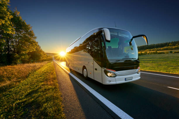 Manjak vozača autobusa uzrokovao prisilno ukidanje velikog broja linija