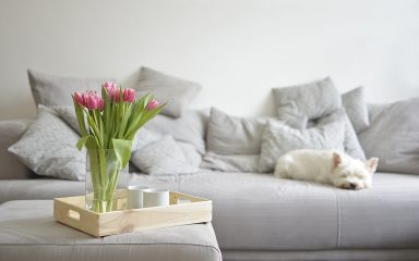 Uz ovaj savjet produžite život tulipanima u vazi