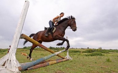 Povodom Dana grada Zadra četiri konjička kluba prezentiraju ovaj plemeniti sport