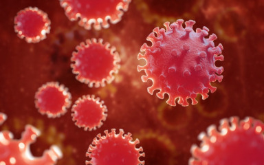 U sedam dana 378 osoba zaraženo je koronavirusom, a 25 je umrlo