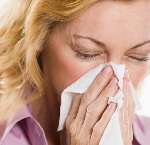 Pelud – najčešći prirodni alergen današnjice