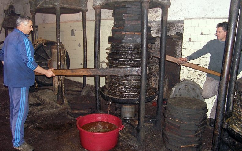 Bibinjsko zlato još teče iz stare uljare