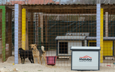 Psići u Zadarskom azilu dobili novo igralište