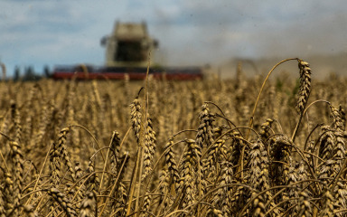Ukrajina poručila EU-u i Poljskoj da su ograničenja na njezino žito “neprihvatljiva”