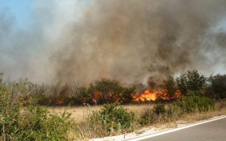 Požar kod Babinduba ugrozio kuće,  gasila ga i četiri zrakoplova