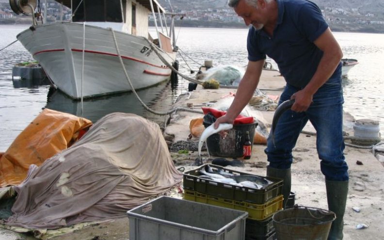 Zabranom koćarenja u Velebitskom kanalu nestalo škampa i oslića