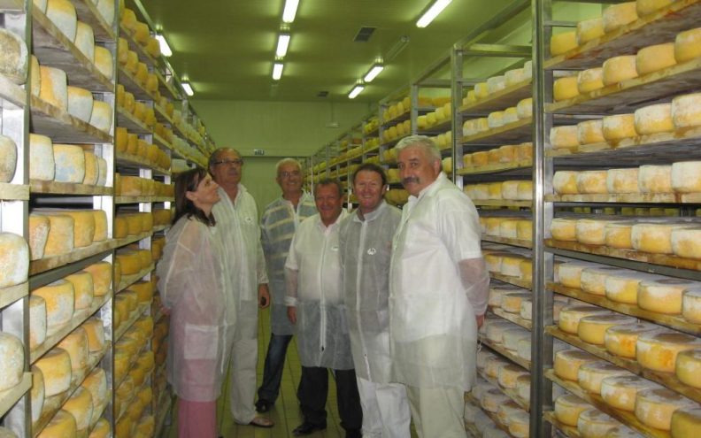 Pag u rujnu domaćin prvog Međunarodnog festivala sira