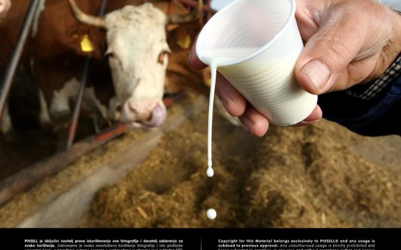 Srbi povećali dozvoljenu razinu aflatoksina u mlijeku