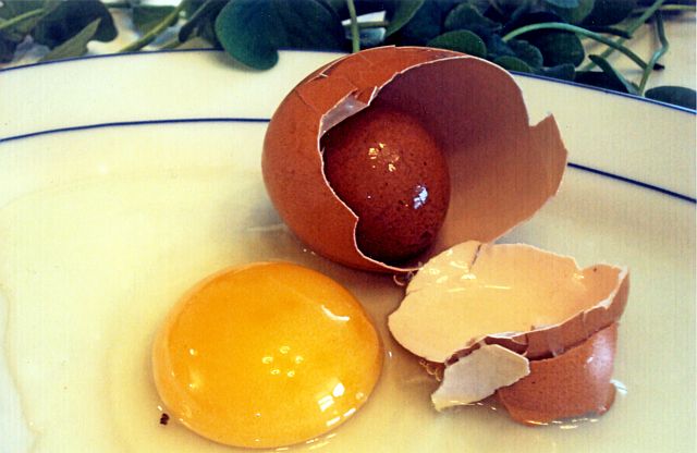 Jaje u jajetu