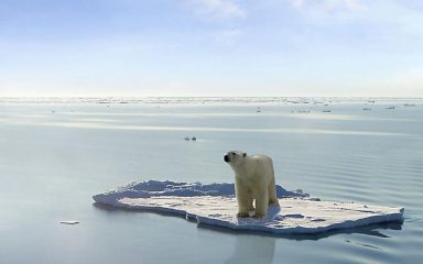 Globalno zatopljenje gura Zemlju u propast