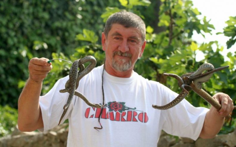 Svaka zmija svoju narav ima