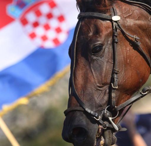 Pronađeni mladići koji su ubili konja