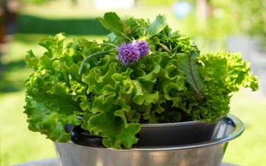 Zelena salata sadrži mineralne soli i vitamine, vrlo važne zdravlje