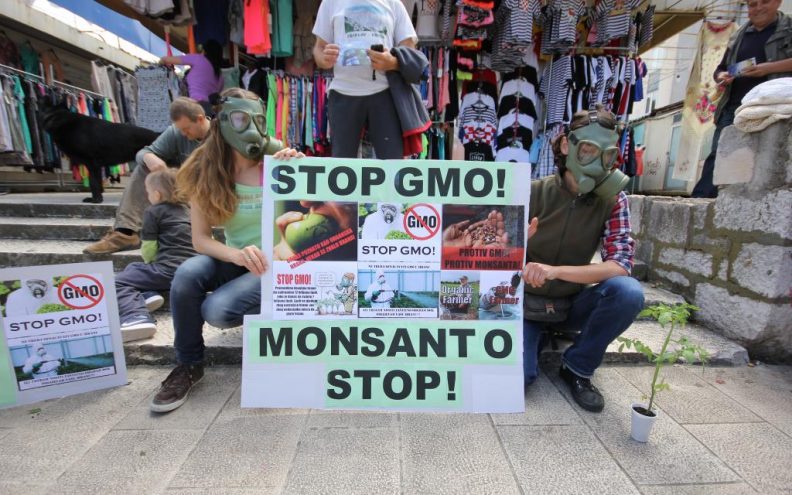 Stop GMO sjemenu u Hrvatskoj