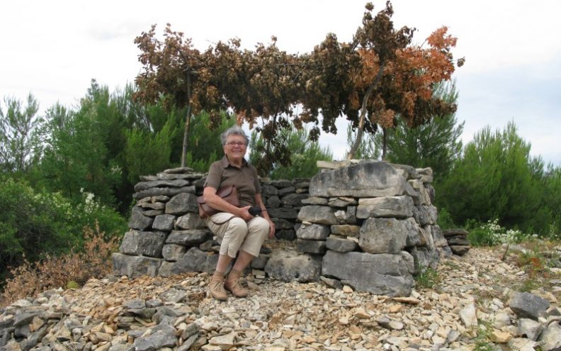 Kamen, suhozidna gradnja i krajobraz Jadrana