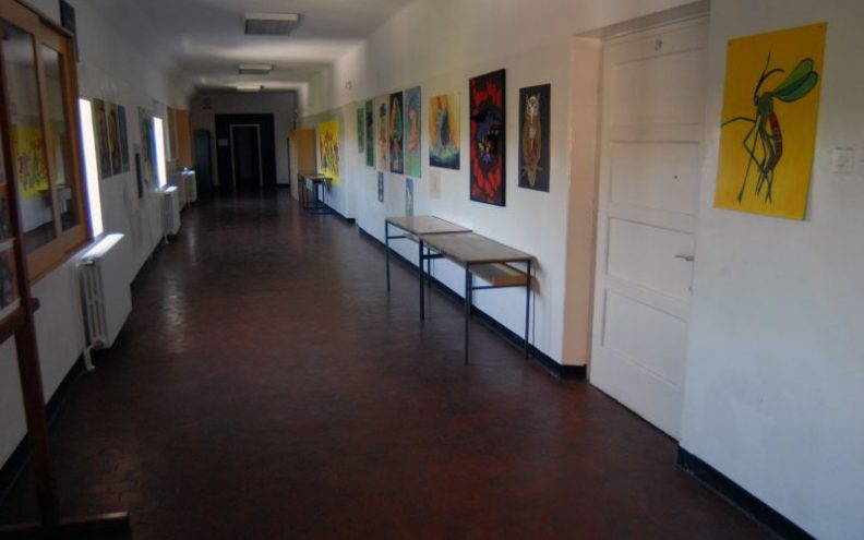 Najviše slobodnih mjesta za zanimanje  ekonomist