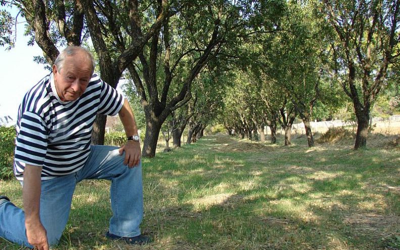 Bajamu, kralju krša, ne smetaju ni žega ni suša