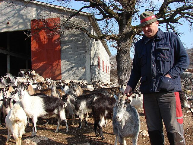 Europski propisi već ugrađeni u hrvatski poljoprivredni sustav