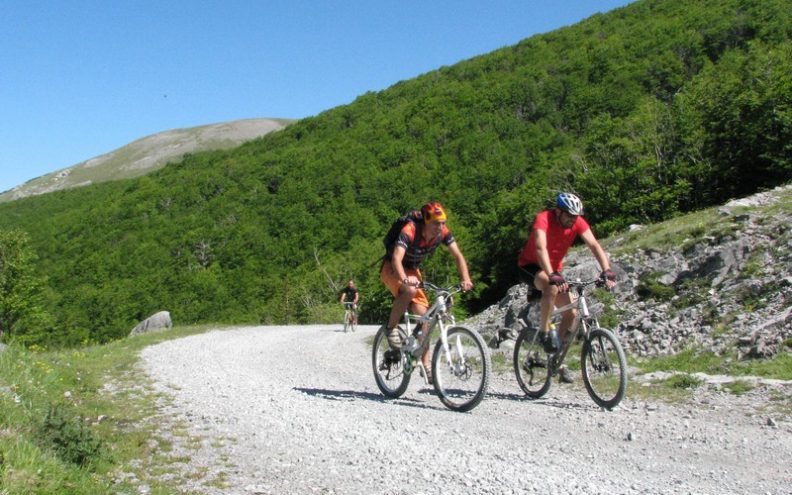 Biciklizam – najkraći put do kondicije i zdravlja