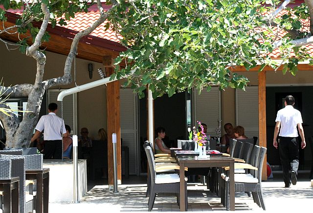“Smokva” opet u paškom turizmu