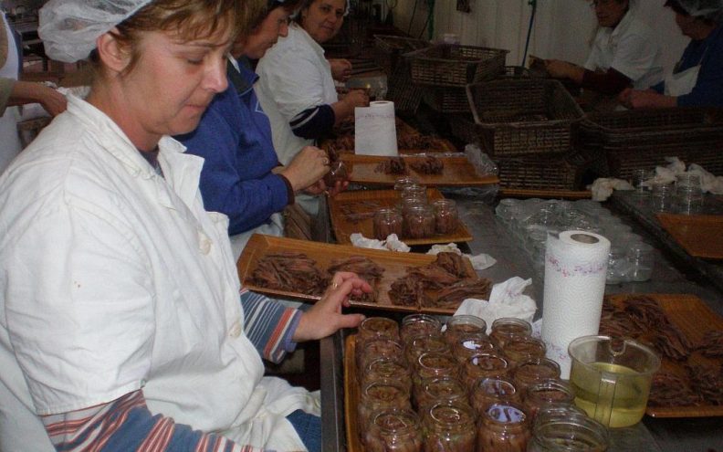 Otočne sardine spale na dvije kutije