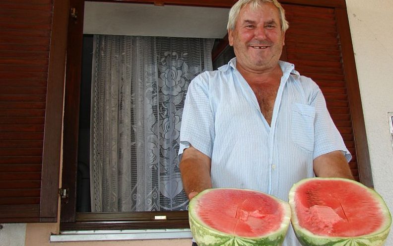 Otkupljivači srezali cijenu lubenica