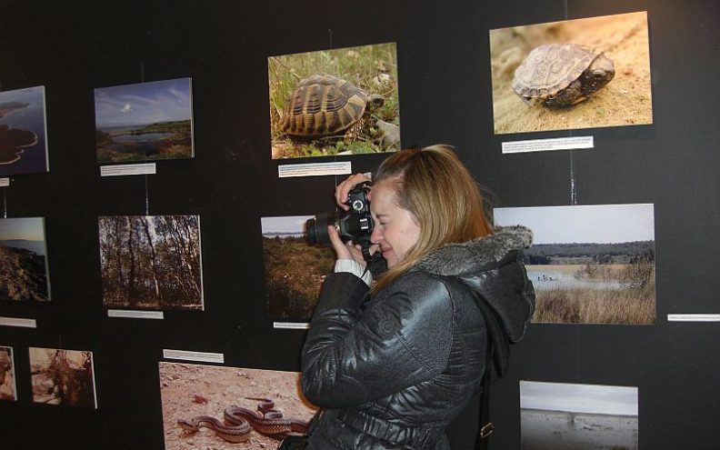 Bogatstvo mora i priobalja, otočnog i planinskog područja