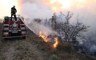 Izbio požar kod Sabunika